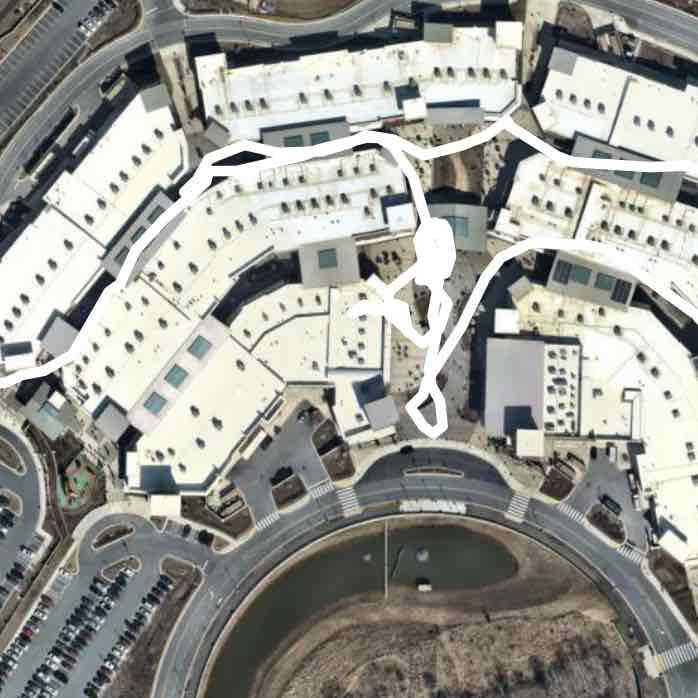 Maryland Starbucks & doggie feeding break!