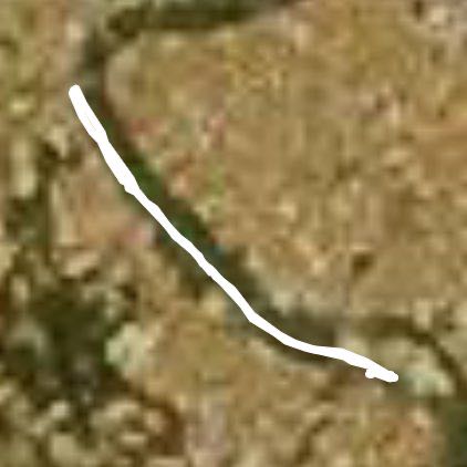 Passeggiata con Macchia la domenica mattina