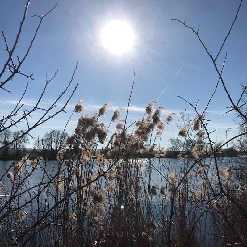 Les bords de Moselle