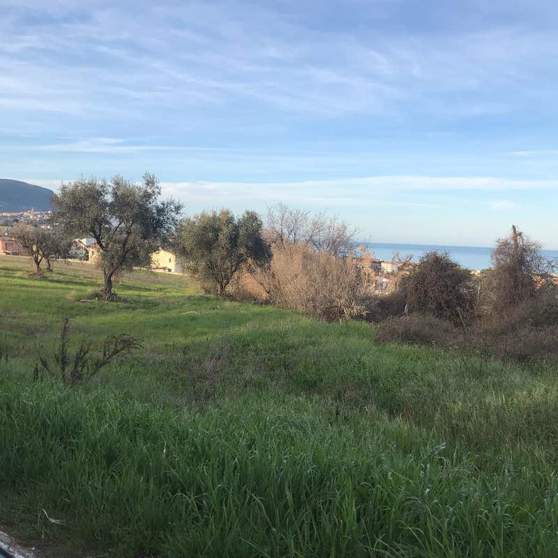 Aspio walking route map in Cameranese