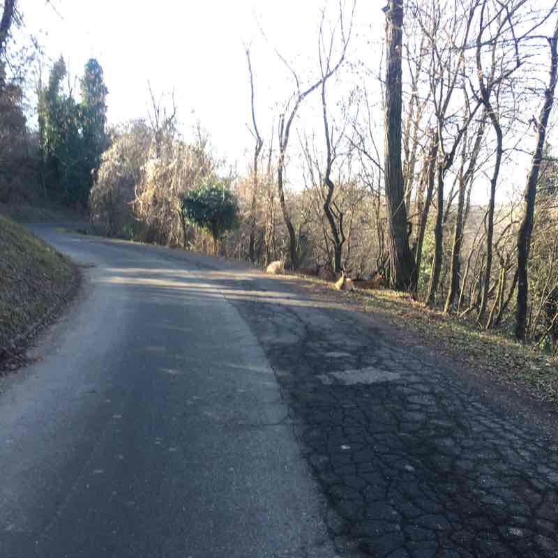 Abbey of Monteveglio Bologna walking route map in Monteveglio