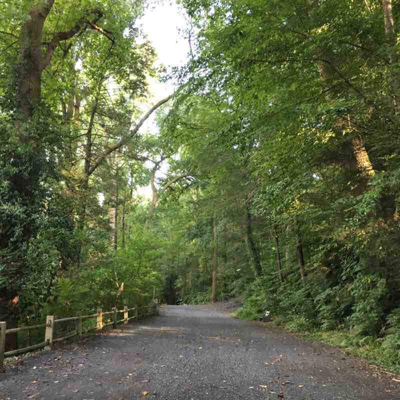 Valley green road, walking route map in Wyndmoor