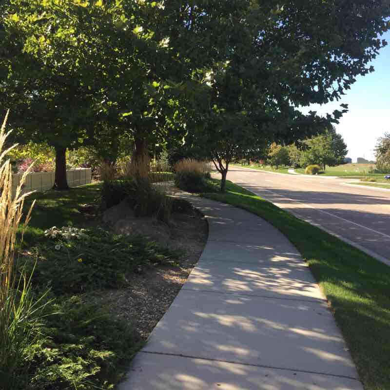 Willis Rd in Middleton walking route map in Middleton