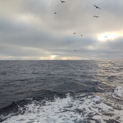 cybersarj ♎💜 post 1