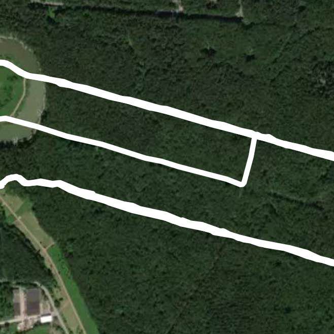 Лыжный круг в Мещерском парке