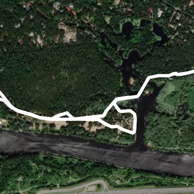 Лыжи в Серебряном бору