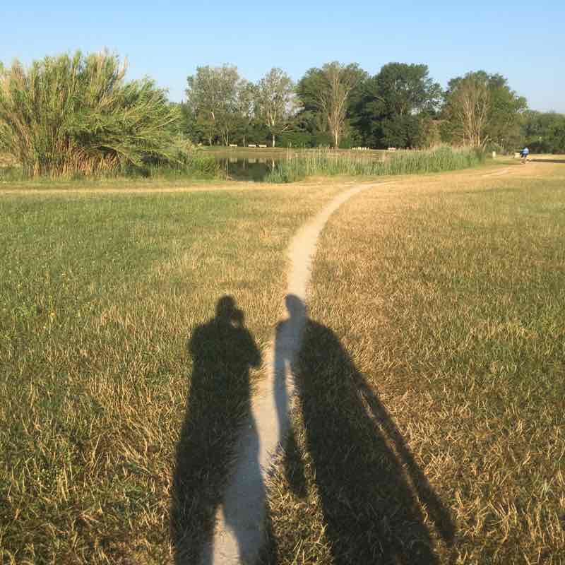 From Gatteo Mare to the Parco di Levante of Cesenatico walking route map in San Mauro A Mare