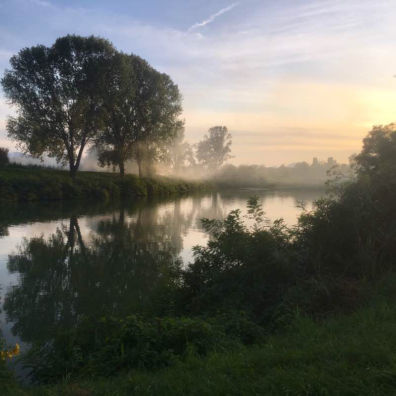 Prima del tramonto, lungo la riva del Bacchiglione