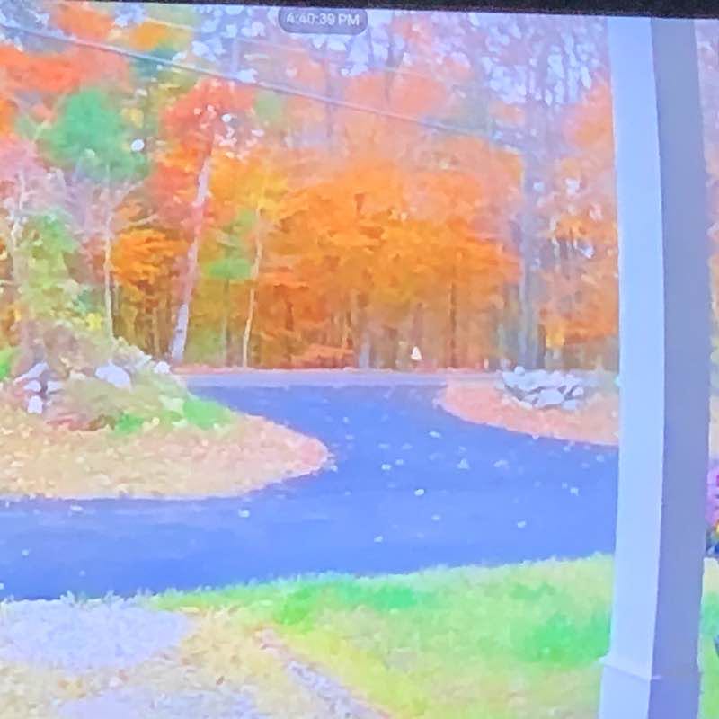 Terall Rd-Forest-Leonard walking route map in Lakeville