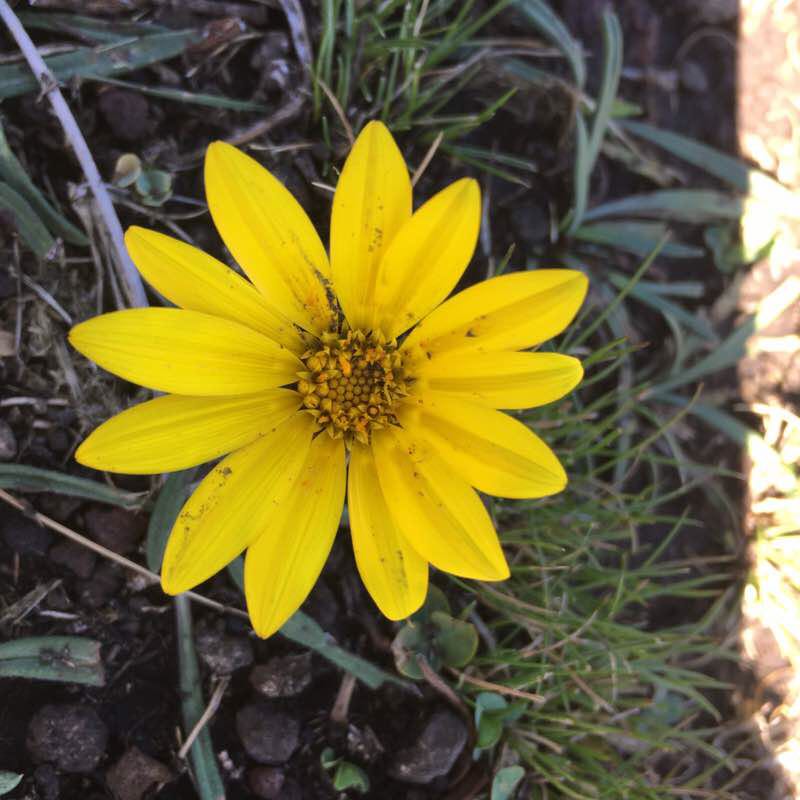 Adventure trails at Afriski in Lesotho walking route map in Thakabannas Cattle Post