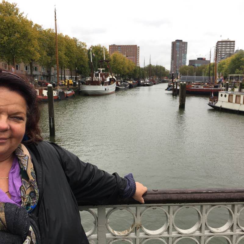 Spaziergang im Rotterdam, Provinz Südholland, Niederlande