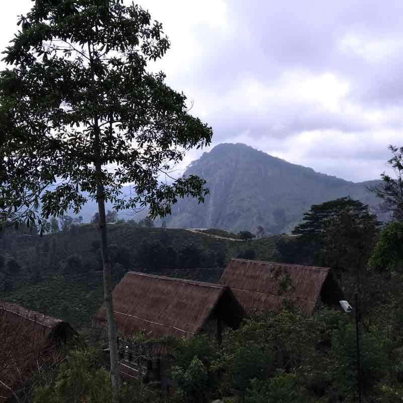 Ella-Punchi Sripada and along the ridge
