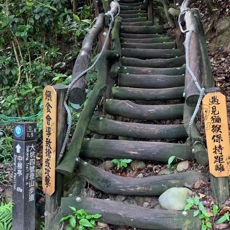 台中市大坑步道四號上三號半下
