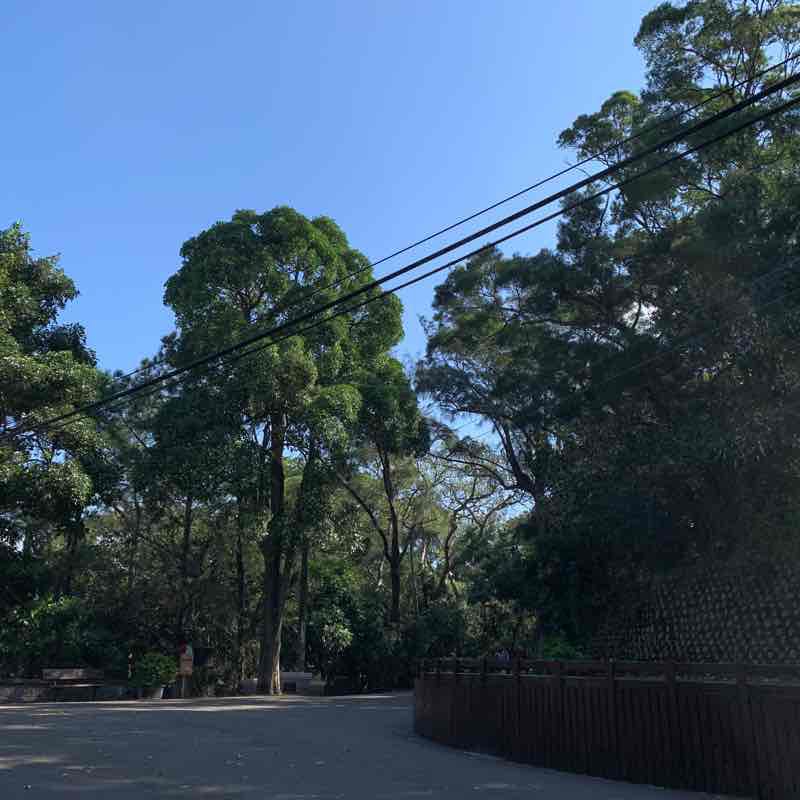 Eighteen peaks Hike Trail East District, Hsinchu, Taiwan, China Pacer