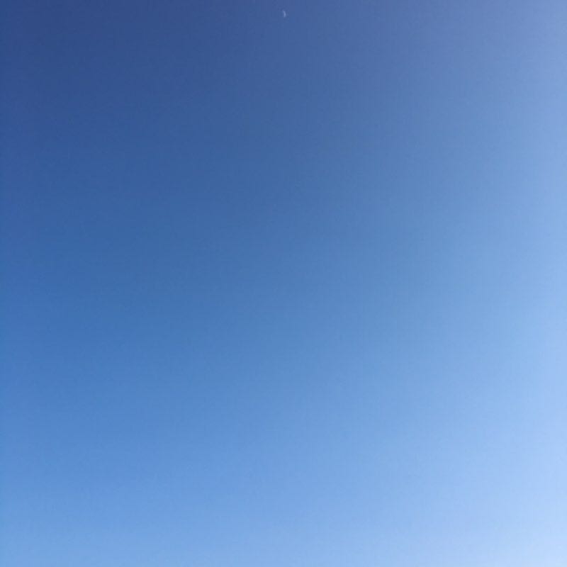 NO with Doudou  walking route map in Noirmoutier-en-l'Île