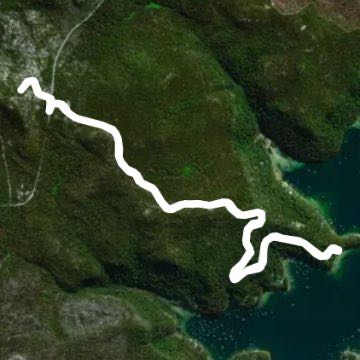 Morning bay track walking route map in Morning Bay