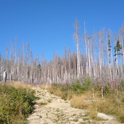 schmidtkatja14 post 2