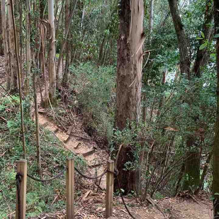 Sweet Coast walking route map in Miño