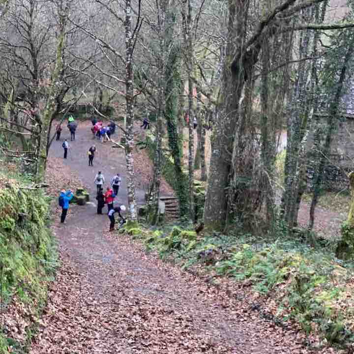 Tramo camino Santiago,BAAMONDE