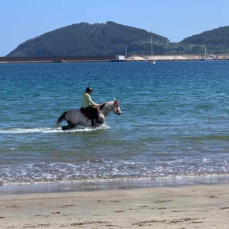 Pig rocket route walking route map in Viveiro