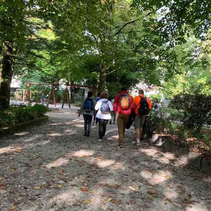 Tramo del Camino (Caldas de Rei)