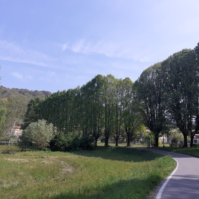 Republika Srpska Svetlana post image