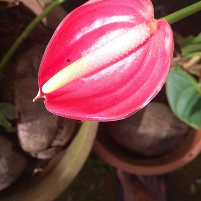 Friends of szef DODDAIAH . E ಬೆಂಗಳೂರು post image