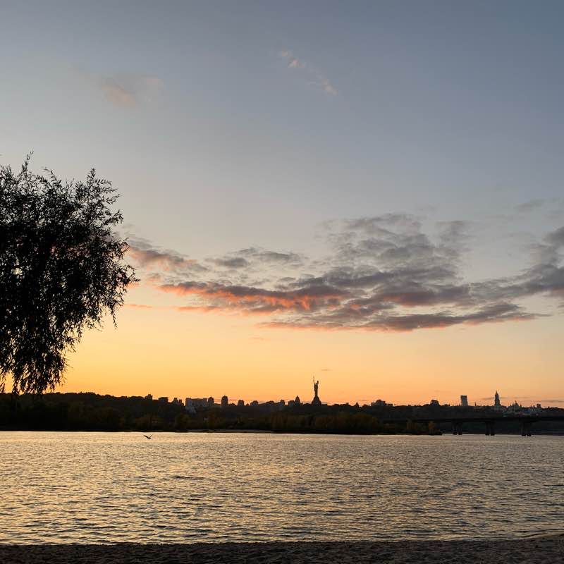 Вербовий гай