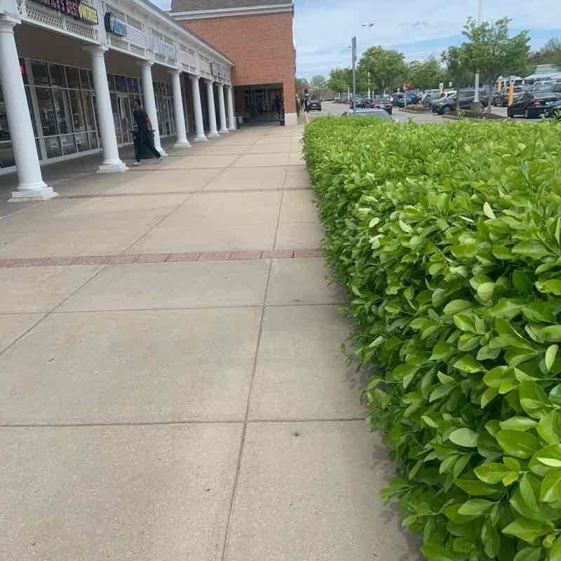 Dolfield walk walking route map in Owings Mills