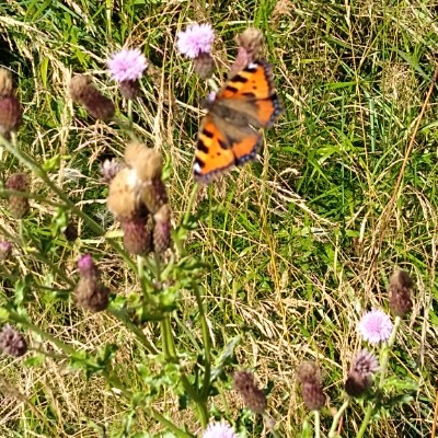 schmidtkatja14 post 3