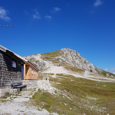 🌸 𝑇𝑟𝑒𝑒𝑠＆𝐹𝑙𝑜𝑤𝑒𝑟𝑠🌲 m4pelea post image