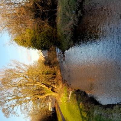 leonieladybug12 post 2