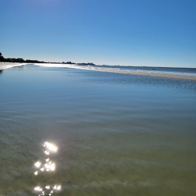 Ellie 2.0 🇬🇧🇯🇲🇺🇸 post 2