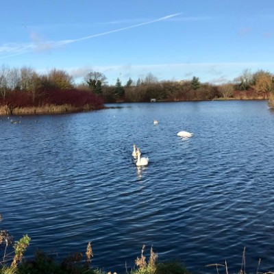 breda.c.murphy post 2