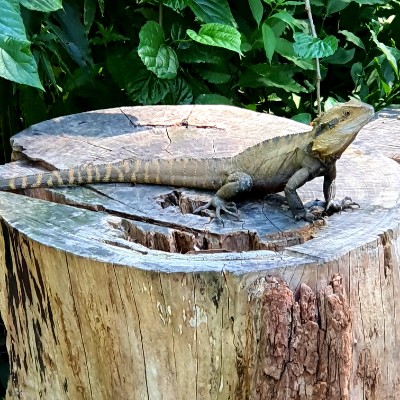 Anthony Barton post 1