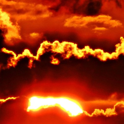 Friendly Competition Oliver post image