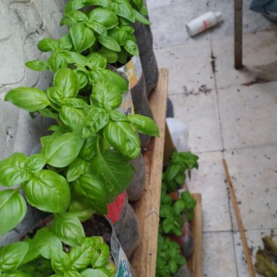 Vamos a bajar unas cuantas calor Angel post image