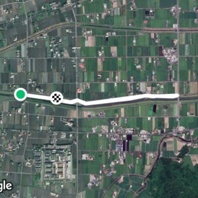 三星落羽松秘境