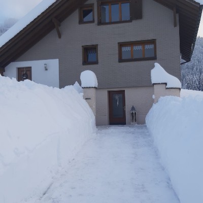 Power Walkers alfan post image