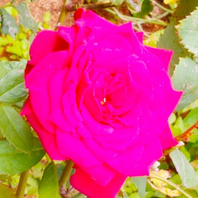 Friends of szef DODDAIAH . E ಬೆಂಗಳೂರು post image