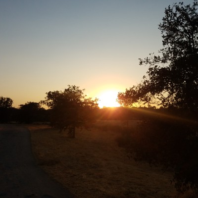 the walking dead Leif post image