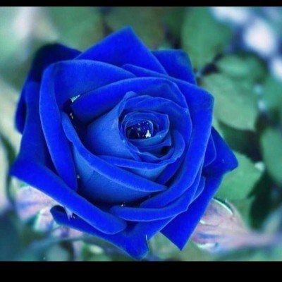 Nurse Monica512 post 3