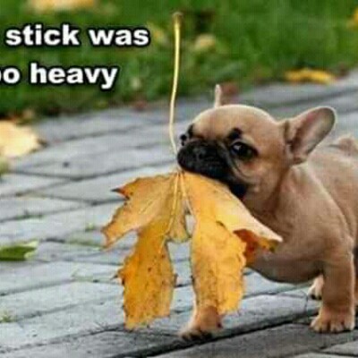 kmoore0519@gmail.com post 1