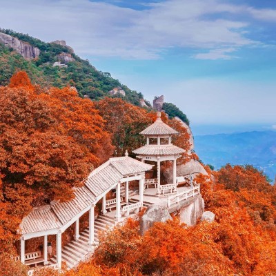 Ffgfh thank333 post image