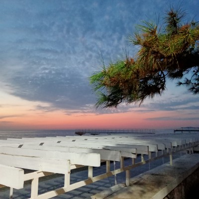 Элизабет post 2