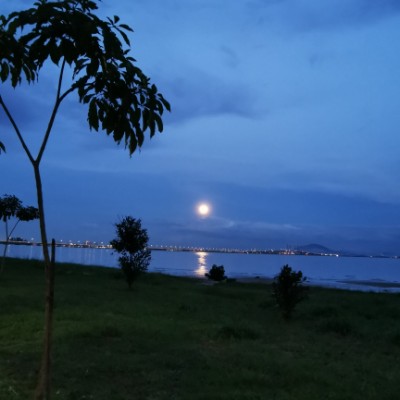 MY - Lew Hong Keong post 1