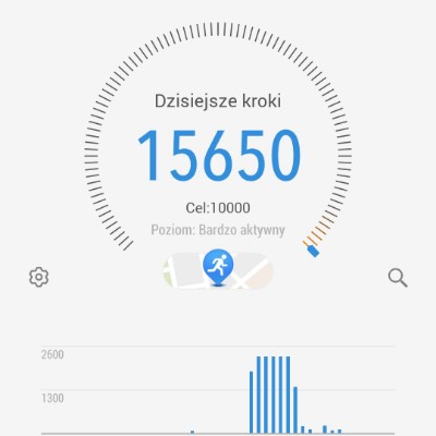 Anka Szamanka post 1