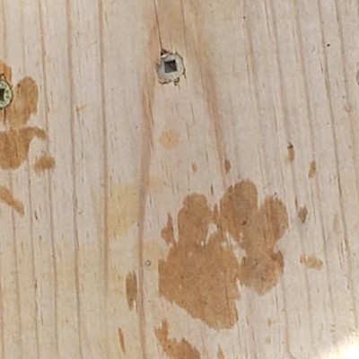 Brenda MacIntosh post 1