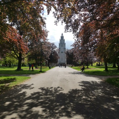 Iulian   🇹🇩🇬🇧 post 1