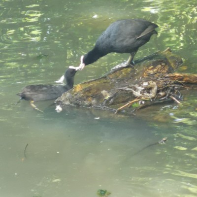 soniaharrison post 2